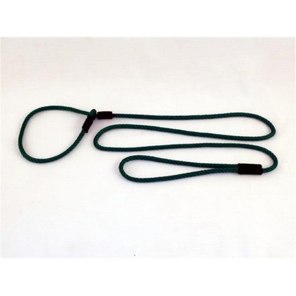 Soft Lines Soft Lines P20406EMERALDGREEN Small Dog Slip Leash 0.25 In. Diameter By 6 Ft. - Emerald Green P20406EMERALDGREEN